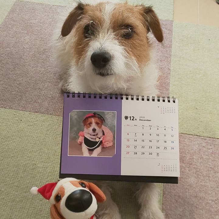 F396b6cf 9c7c 4a90 b07f c9b52554313c 1606778262999