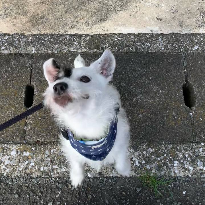 F396d0aa 62e0 4ba6 bf0d 2d682b81476f 1721862412284