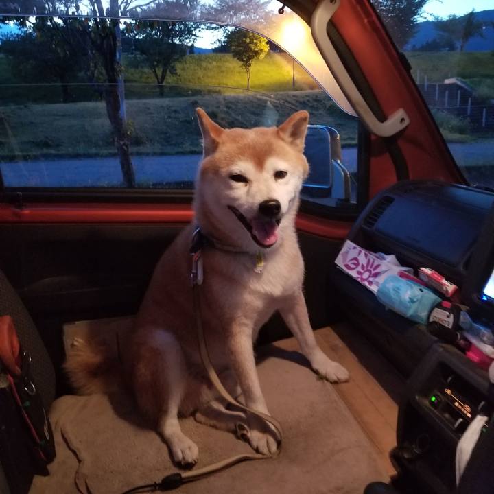 F396e192 7493 4714 8134 38c5f2b62286 1662370252855