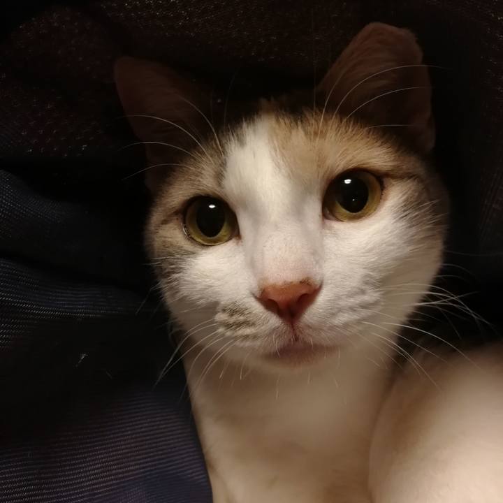 F396f41f f245 4f40 b49f 0248142f81c9 1553124155356