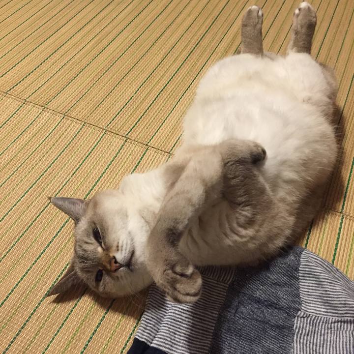 F3973e4e 1c69 494f 8714 c279a124879b 1571831540188