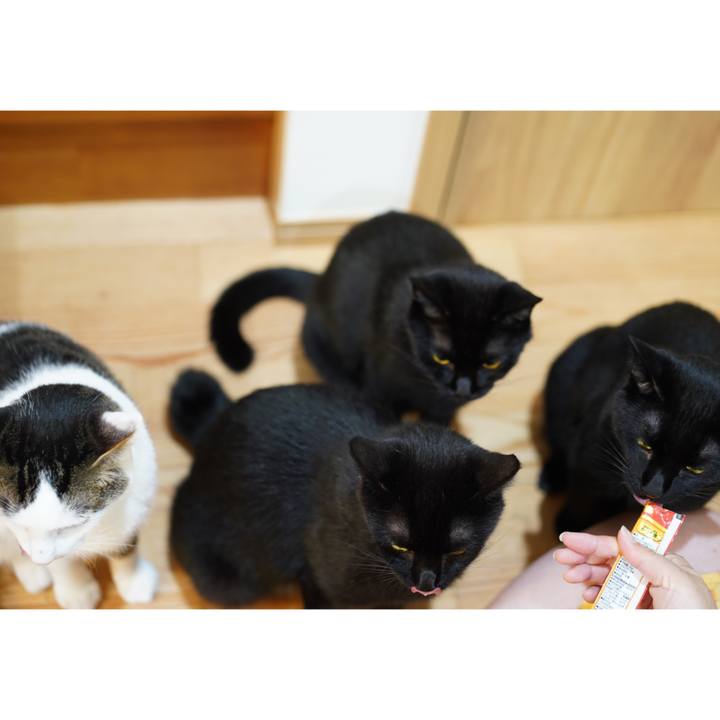 F397645d 2369 42a0 b230 edb08ca24eeb 1567639911213