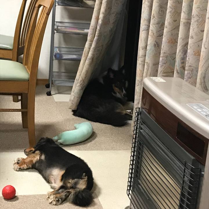 F3977678 b266 47c7 9538 8555e89faa33 1535804869185