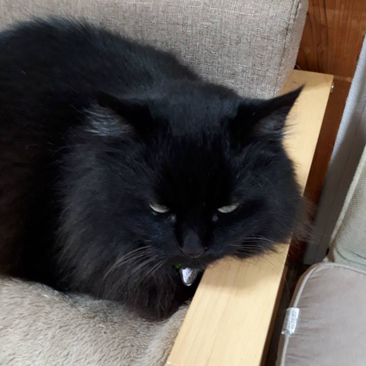 F397a83f 7c4d 4a81 94df ae6730349e24 1521798637836