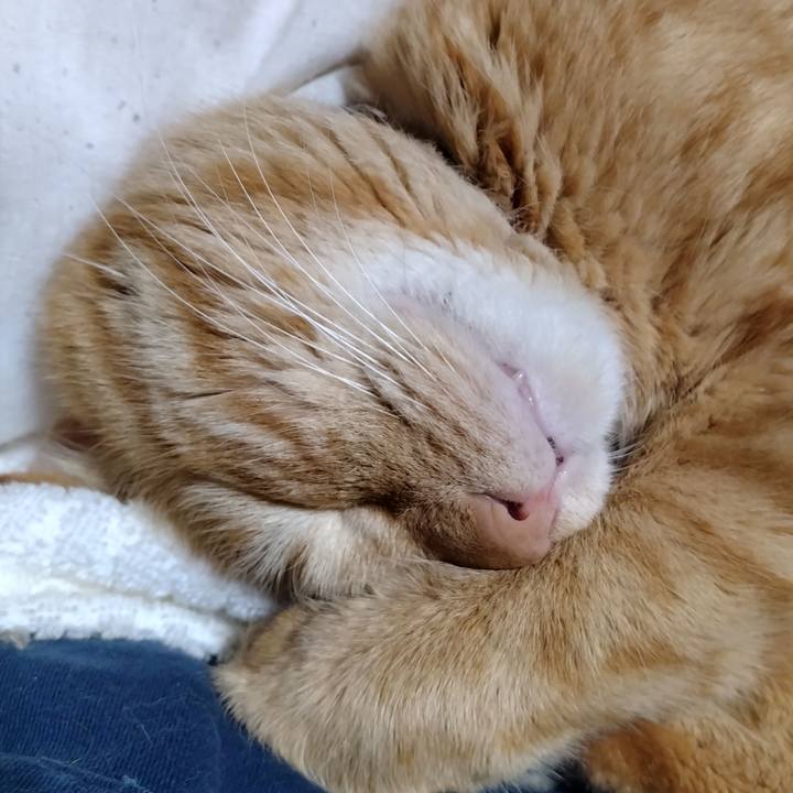 F3980e01 24b0 4b97 b1bd 97e7fabcdd1d 1704975268849