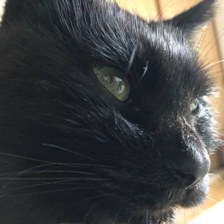 F39810c7 d94b 4998 850a 7c0a9ce7682b 1633125462768