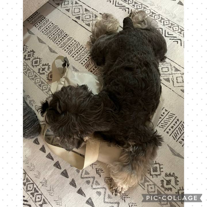 F3982b4b 2263 49c1 905b ac11cc73a1f4 1751168979781