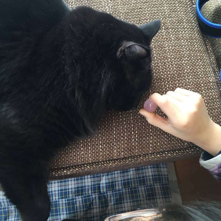 F3984bef 4003 4693 871d 3bc8b6078314 1515034255252