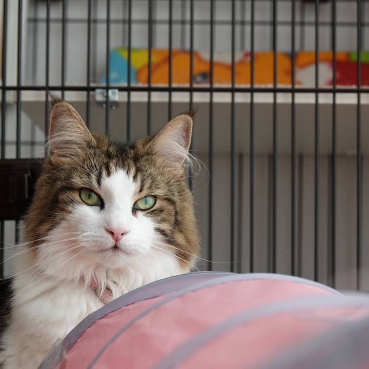 F39853b9 202a 4fe8 8761 98962f3d0b70 1566378741678