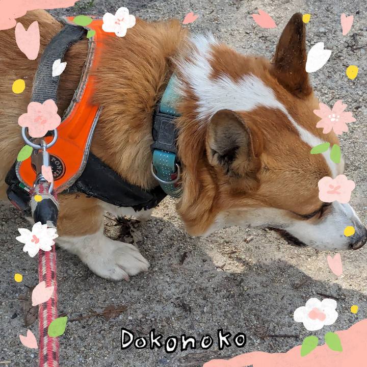 F398a0a5 e1a0 4c14 be7c 7ebefa345359 1711025625382