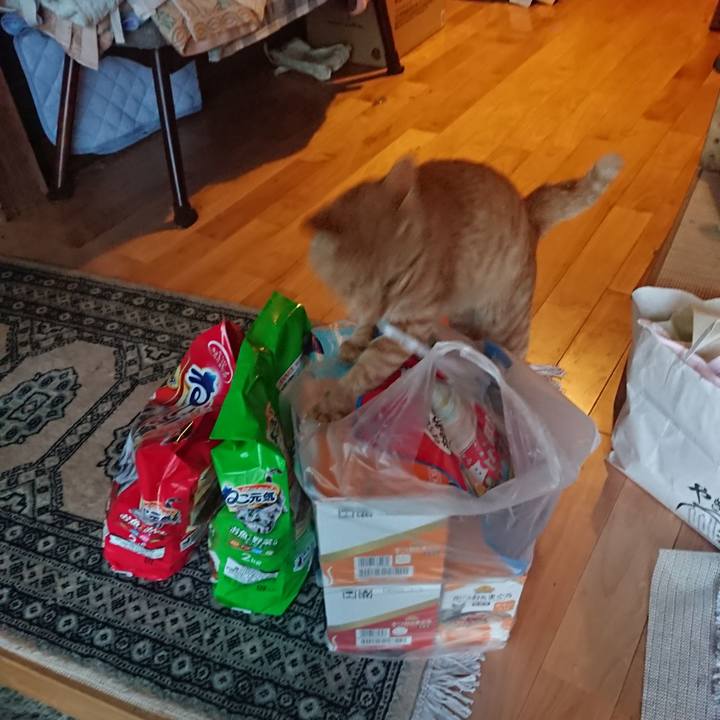 F398b205 65c6 4b2c a614 e94a5b1d6966 1651571564446