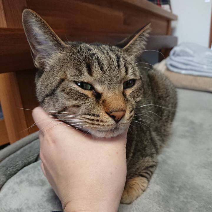 F398dea5 9ad3 4ad8 9d04 f7da13abd08e 1547266650806