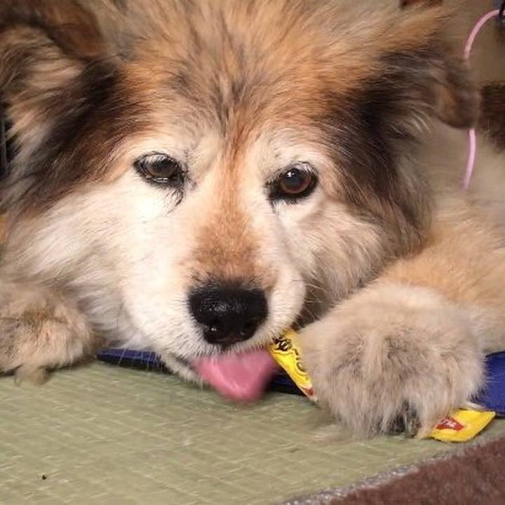 F398faa8 859e 4681 849f 5ff972649a16 1626043976548