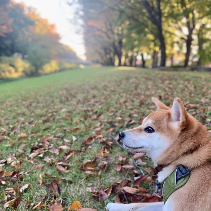 F39943e5 ead6 4543 9b1b d23d650def83 1669762338122