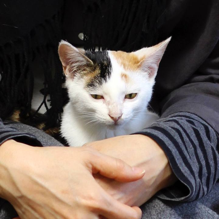 F39946d6 5924 499d ad06 158beb7f0c68 1597444487532