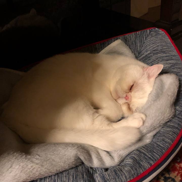 F3996332 929a 46f0 b5f1 acbf2ccc40ca 1609509044344