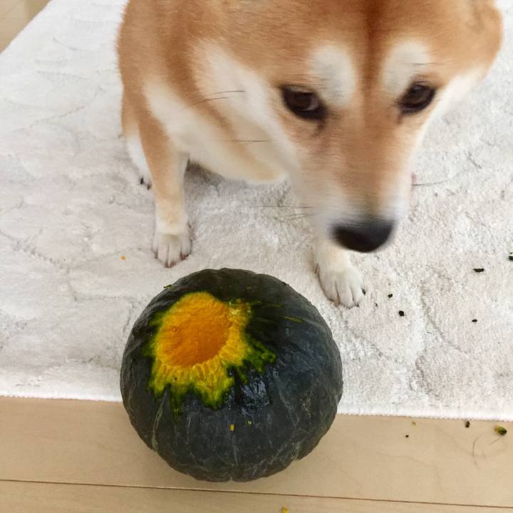 F399767a ec3c 4b53 83a8 6d57ade483c8 1508397006755