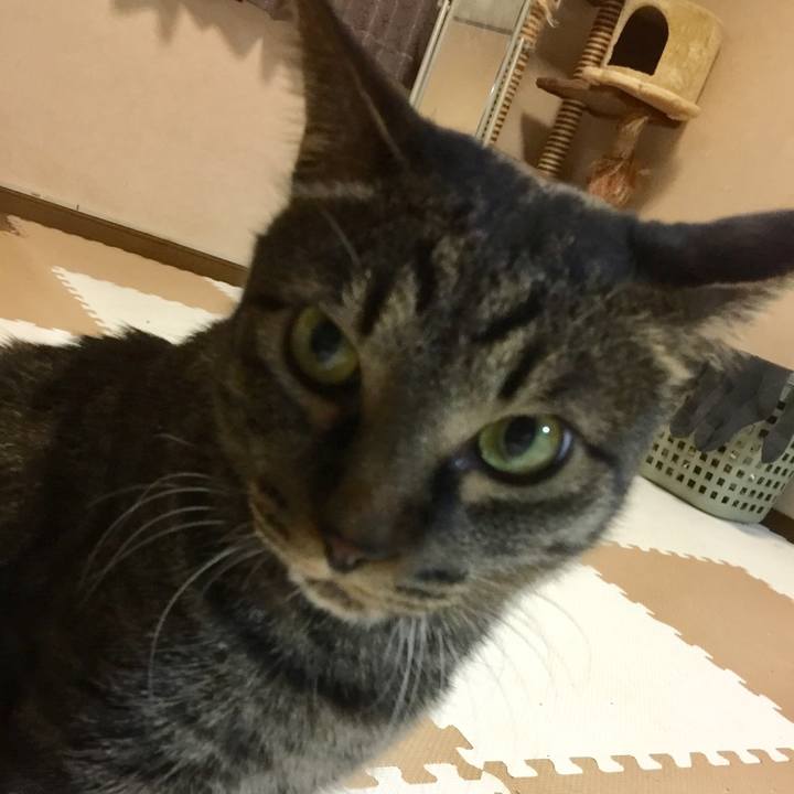 F3997c6c 4063 4062 9378 efd406629935 1521024859872