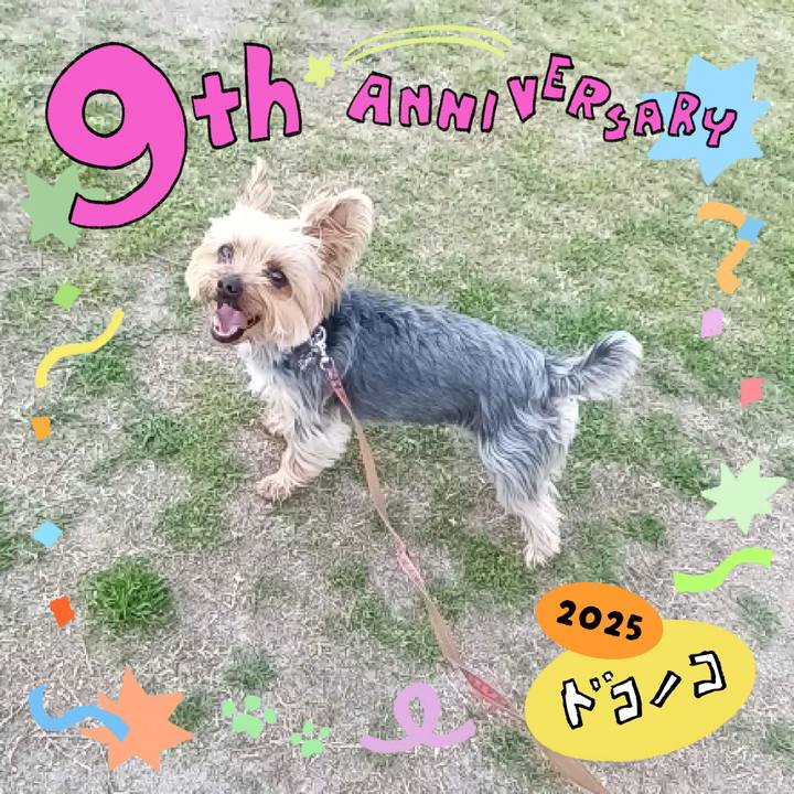 F399d9dd afe6 46a4 b4c2 09ea0d698187 1749131236640