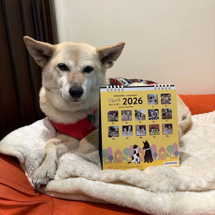 F399df35 ffba 4799 8d37 f81bacc60dc4 1765439277209