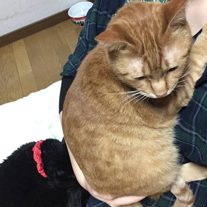 F399e032 1f3b 41d5 abfb 785c3e8c16a6 1545466021636