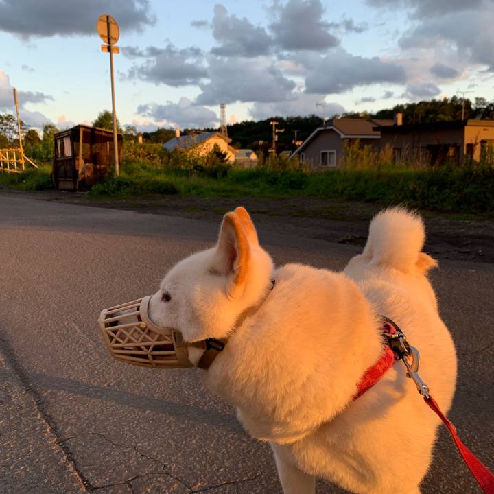 F399e65e e787 481f a2ac d4536dd4dfcf 1568323769306