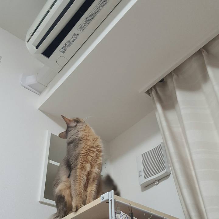 F399effd 1520 4bcd 84c1 5f69e500ed1d 1516622034477