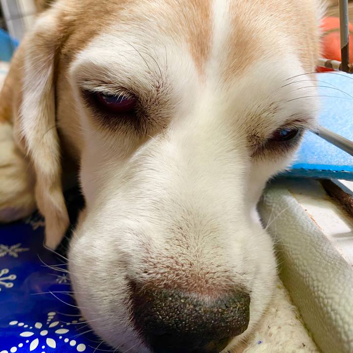 F39a1d41 0aa7 4e09 9ced 95940e32fff6 1598153398531