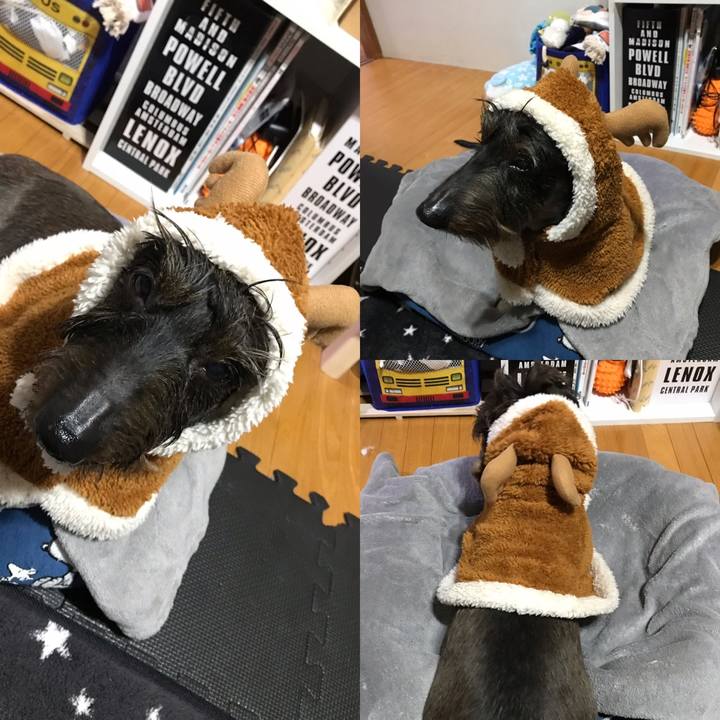 F39a2cba 6da9 400b b54d 1797423c7b2e 1542289332770