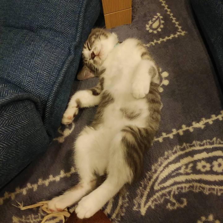 F39a38df 43c0 4289 87cb fe6c62ee2cf4 1595421751851