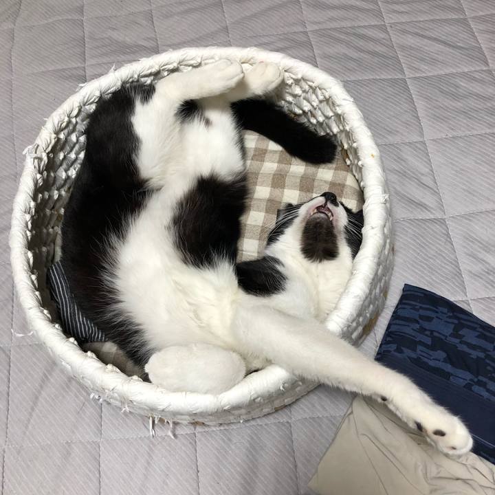 F39a3be4 d8ec 4a54 804f 3d1ddb4af0cf 1561667328906