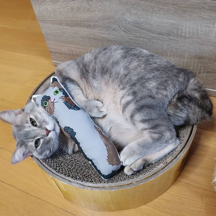 F39a3d1b f992 4d24 8d79 4b6d3b46fd46 1610100617057