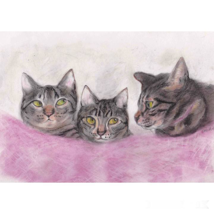 F39ae79c eae8 4b47 905e b4c679dd234d 1586185785537