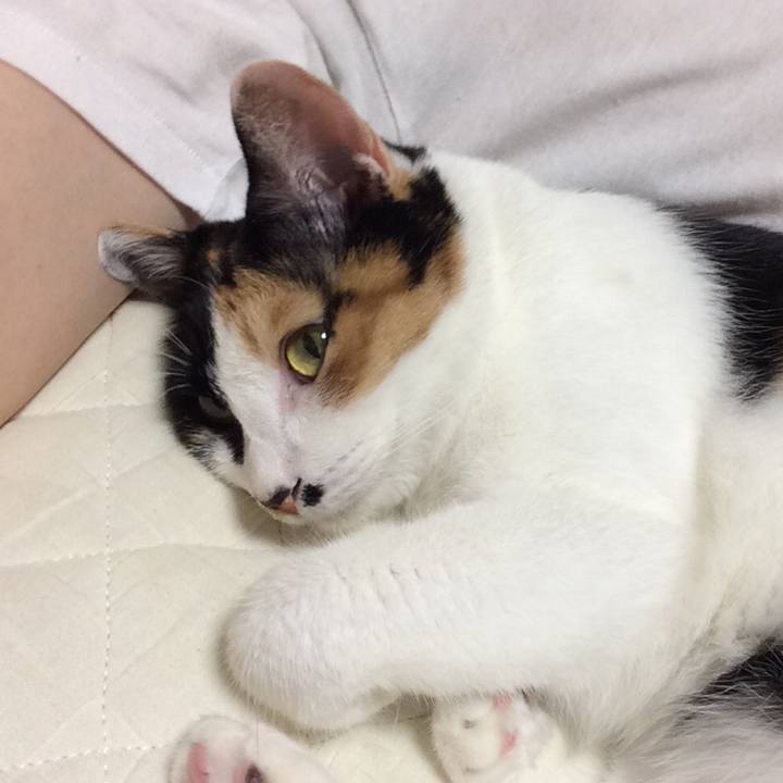 F39ae8a2 2dc9 4fde bb76 c449399199b7 1600740004341