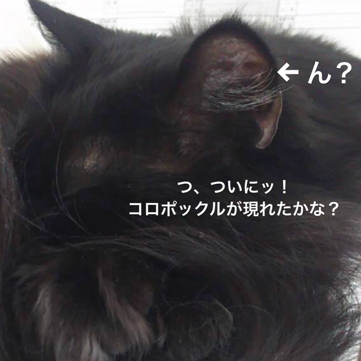 F39af8ab 0cad 434b 8fec cdb6d80d4567 1550298678482