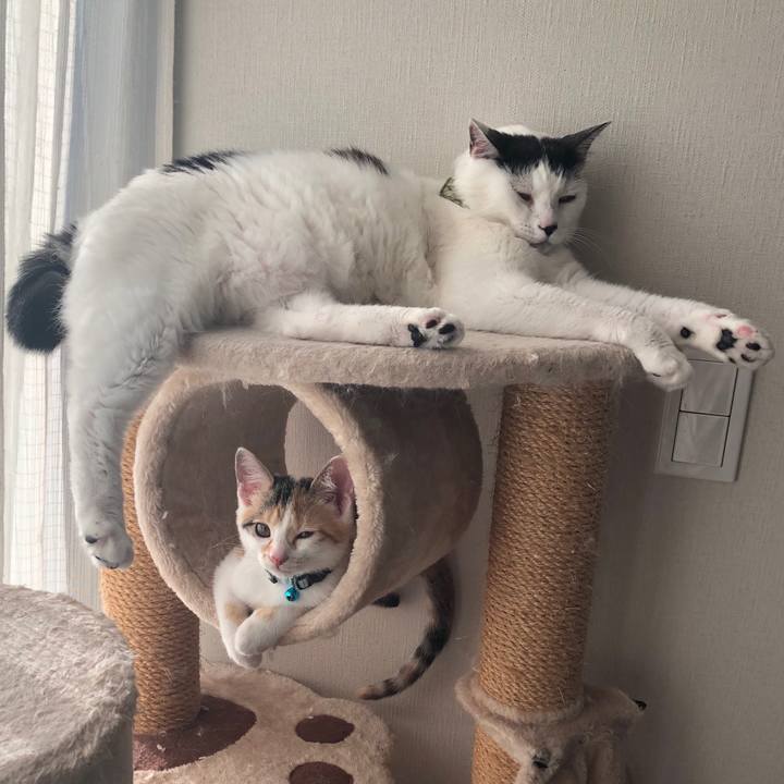 F39b1311 593f 474b 83e2 7db46e22ec14 1564218421659