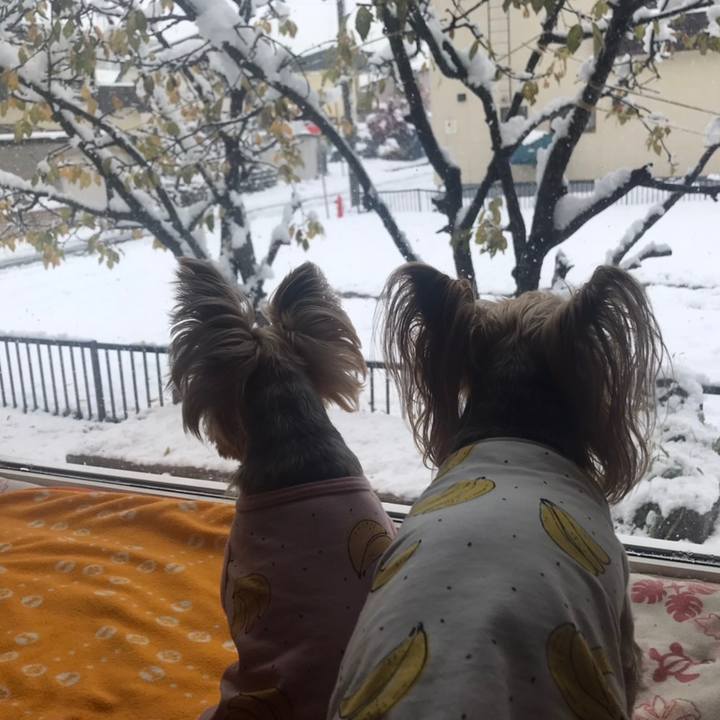 F39b6956 4b32 4ca7 8dda bc73942d7a0f 1605000674921