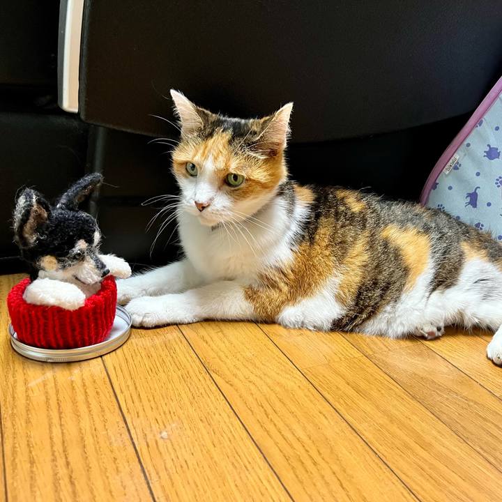 F39b95a3 fd80 4588 bfea f8bda46726e6 1660206124597