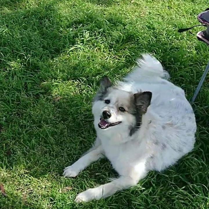 F39b9b4b 2cf6 4973 9967 2c156f78332c 1523450109329