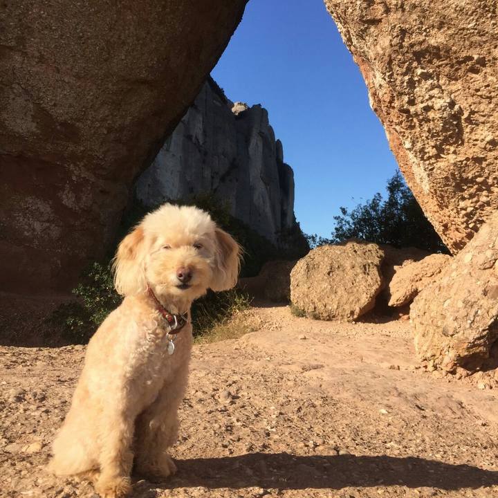 F39ba407 73ed 4a6f 80d4 6b57233736e9 1575070815551