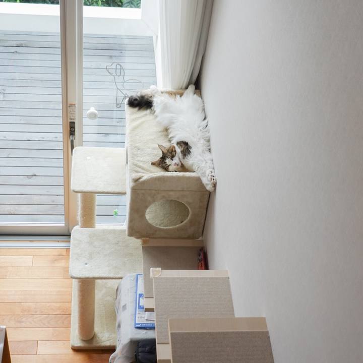 F39bce94 ead8 4241 bf61 72a528ba3e8b 1600214465741