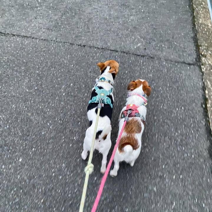 F39c0a3d c9fb 4dd7 9793 771d1ef38529 1766702037458