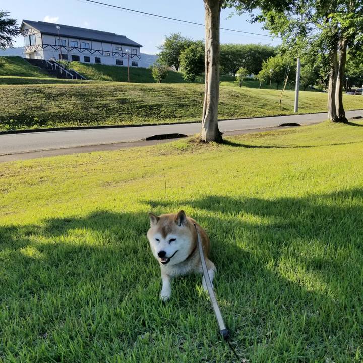 F39c0b34 15be 4a69 9c1e 452c139d3899 1717573515240