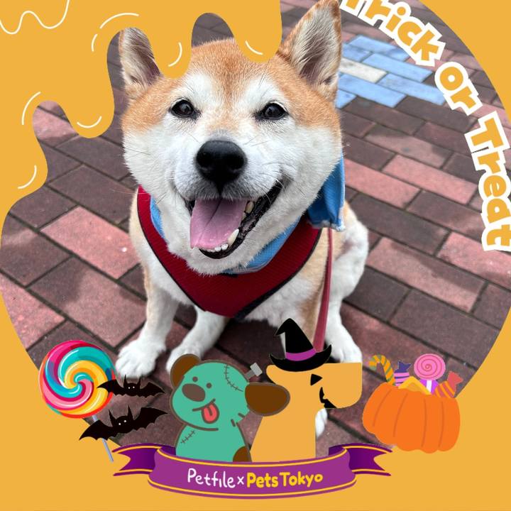 F39c1ee6 7083 4db0 870d dddd5af0852b 1726564056567