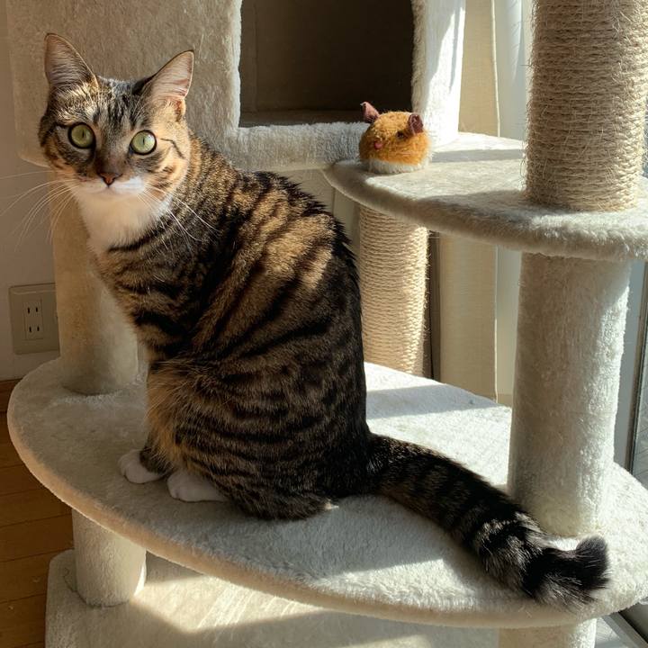 F39c7378 98c3 4720 8864 0f7f598e7bb4 1554541510596