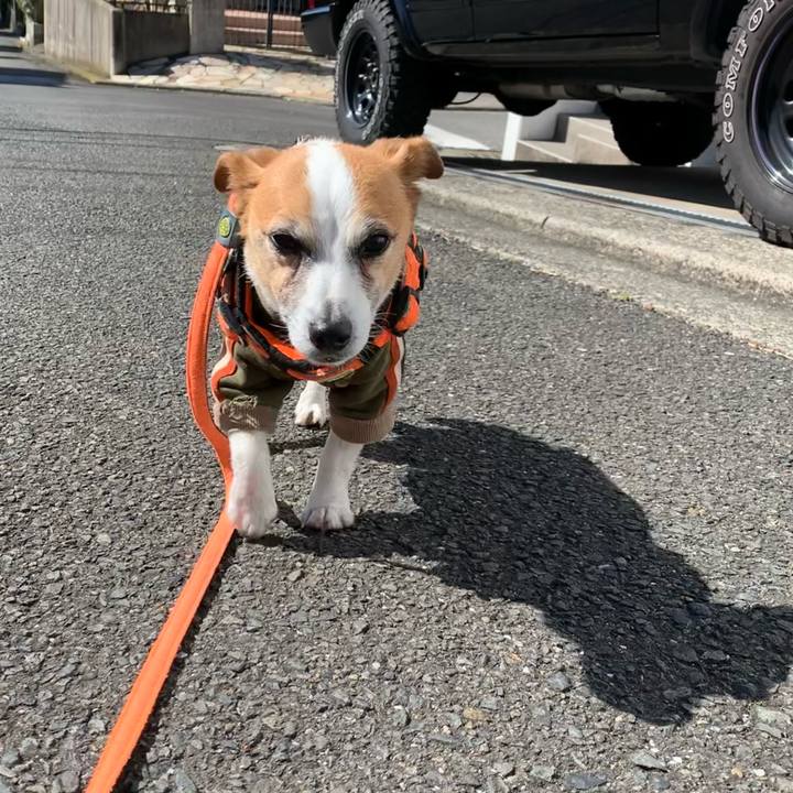 F39cac1c 74b1 4f9c b9dd 82e12b881836 1647224524857