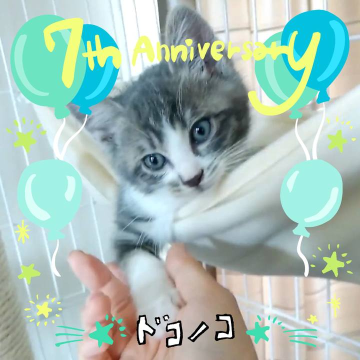 F39cbdf5 8ba0 4eb0 85d5 068f4a42acf7 1686004752413