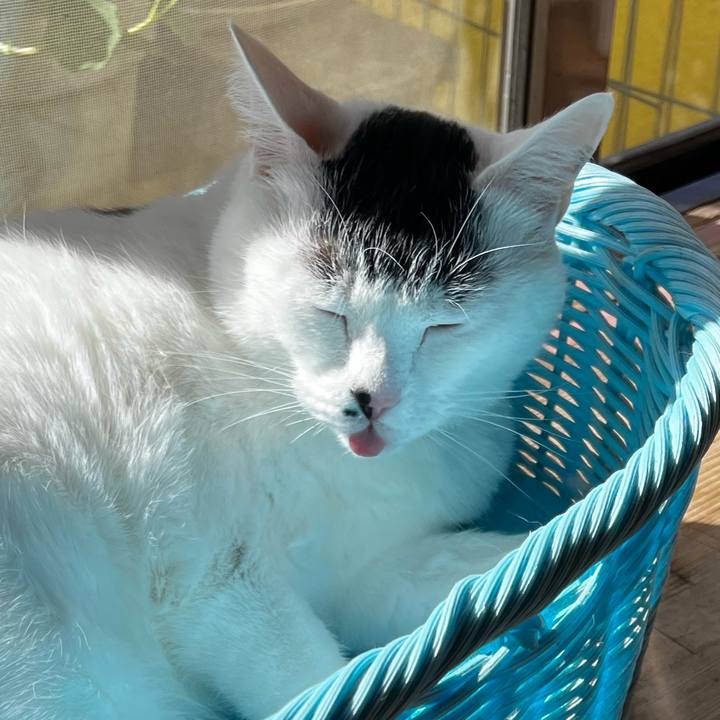 F39cedf1 1ae4 4df3 9f63 2cd23318406f 1768443972569