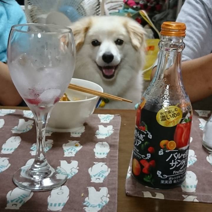 F39d1505 4165 4f61 977e 91d8c06651e9 1535318330268