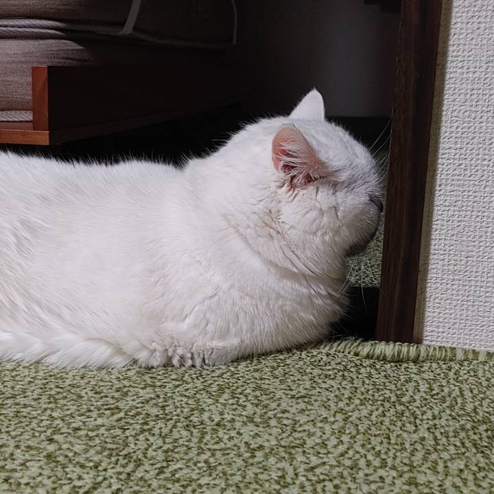 F39d4074 9b80 45b3 95d5 422281f6db08 1718801264289